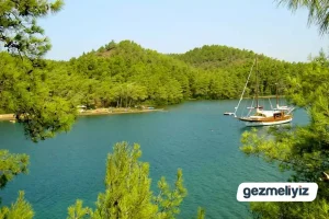 Club Amazon Orman Kampı